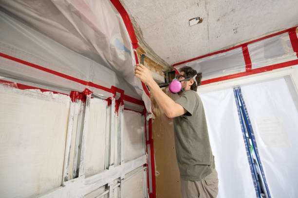 Mold Removal for HVAC Installations in Southern Shops, SC